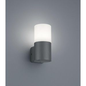 TRIO HOOSIC Wandlamp - Antraciet - excl. 1xE27 28W - Buitenverlichting - IP44