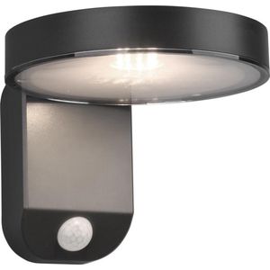 Solar wandlamp met sensor | Posadas | Antraciet | 3000K | 4.5W | Trio