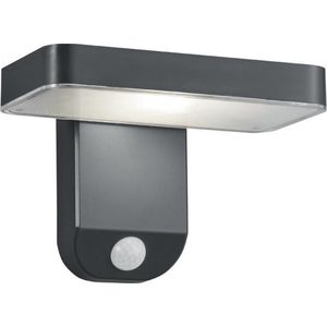 Wandlamp REALITY Esquel - Antraciet