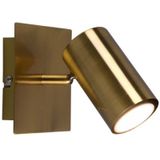 Trio Lighting - Wand- & Deckenstrahler marley in Altmessing 1-flammig Spot schwenkbar