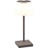 REALITY Leuchten LED Außen-Tischleuchte »Sanchez«, 1 flammig, Leuchtmittel LED-Board  LED fest integriert, Akku Garten Tischlampe RGB Farbwechsel dimmbar Lichtfarbe einstellbar