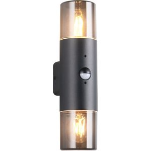 TRIO HOOSIC - Wandlamp - Zwart mat - excl. 2x E27 4W - Buitenverlichting - IP44