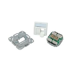 TELEGÄRTNER Dozen AMJ45 Inbouw/50 2x RJ-45 Cat.5e (Class D), wit, (A+B+C) - wit 100022940