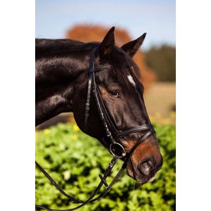 Covalliero Hoofdstel Standard Zwart Pony