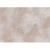 Kerbl Kletterwandhalterung Mont Blanc