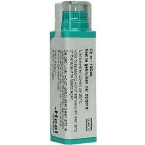 Thermometer - Rapid - Digitale Thermometer - Hypoallergeen - Waterdicht - Flexibele Punt - Koorts Alarm