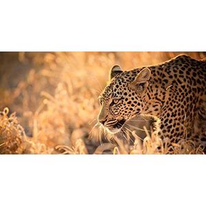 Pro-Art-Bilderpalette Go Running G1854N wandfoto Giclée, meerkleurig