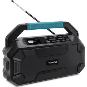 TechniSat - Viola 231 OD - Radio - Zwart - DAB+ - Bluetooth