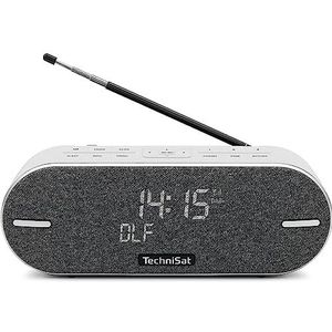 TechniSat DigitRadio BT 2 lichtgrijs (VHF, DAB+, Bluetooth), Radio, Grijs