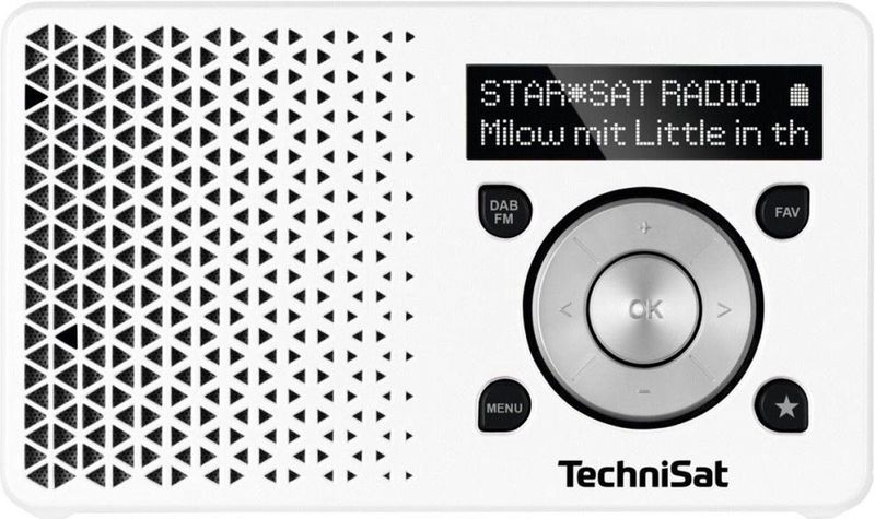 TechniSat DIGITRADIO 1 Digitalradio (DAB) (Digitalradio (DAB), FM-Tuner mit RDS, 1 W, DAB+ Digitalradio, UKW-Radio mit RDS, Akku- und Netzbetrieb)