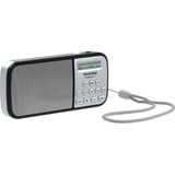 TechniSat Techniradio RDR Zakradio DAB - VHF (FM) AU - USB Zaklamp Zilver