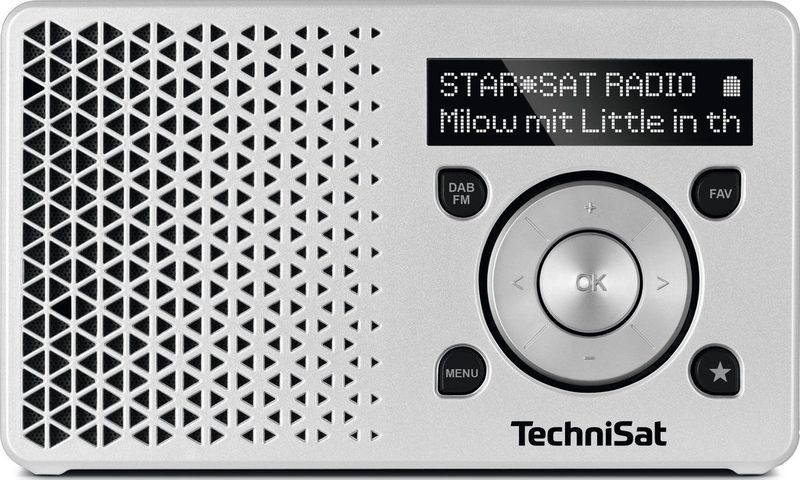 TechniSat DigitRadio 1 radio Draagbaar Digitaal Zilver