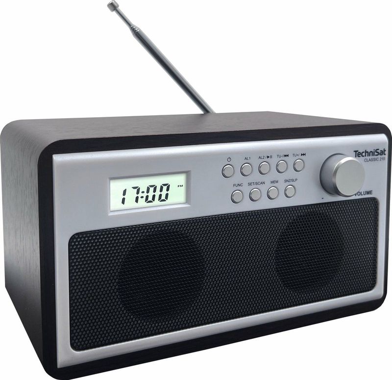 TechniSat - Classic 210 - Radio - Zilver - Bruin