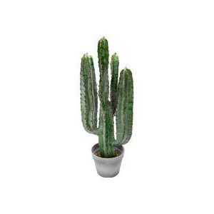 Flair Flower Kolencactus in pot kunstmatige cactus kamerplant groene plant stekelige Consolea Rubescens Platte cactus Plant Bloem Succulent Kunstcactus Aloë Vera 151588GN Groen 70x26x26 cm