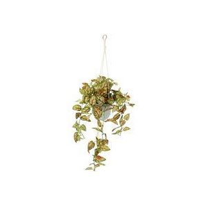 Fittonia Kunstmatige Philo Hanglamp met pot, kunstplant, ranken, slinger, groene plant, decoratieve plantenhanger, groene plant, kamerplant, klimop, klimop, bloemenhanger, potplant, kunstbloem