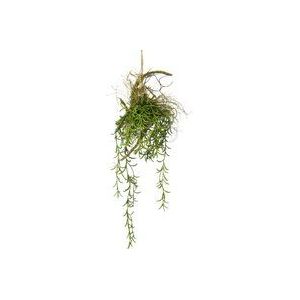 Tillandsia hanger op tak, kunstmos, hanger, groene plant, kamerplant, zijden bloemen, decoratieve eilandse kunstmos, hangende slinger, struiken