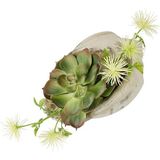 Flair Flower Kunstmatige arrangement vetplanten agave aloë vera yucca sanseveria plant cactus kunstmos cactus groene plant kamerplant tafelplant kunstplant in