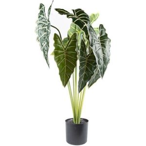 Boltze kunstplant in pot , Arrow Leaf, Indoor