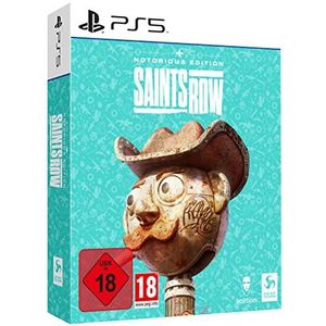 Saints Row Notorious Edition (PlayStation 5)