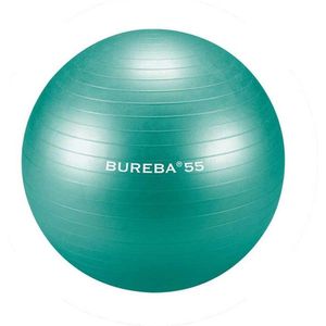 Trendy Sport - Professionele Gymnatiekbal - Fitnessbal - Bureba - Ø 55 cm - Groen - 500 kg belastbaar - Tuv/GS getest