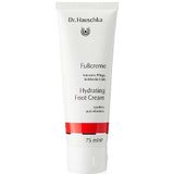 Dr. Hauschka Verzorging Handen & voeten Hydrating Foot Cream 75 ml (€ 205,33 / 1 l)