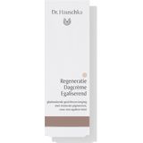 Dr. Hauschka Gezichtsverzorging Regeneratie Dagcrème Egaliserend 40ml
