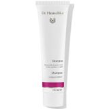 Dr. Hauschka Haarverzorging Haarshampoo Shampoo Alle