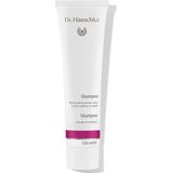 Dr. Hauschka Haarverzorging Haarshampoo Shampoo Alle