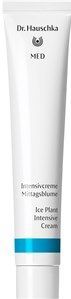 Dr.Hauschka Med - Intensieve Roomijsfabriek - 50 ml - Gezichtscrème