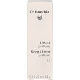 Dr. Hauschka - Lipstick 4.1 g Nr. 14 - Caralluma