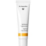 Dr. Hauschka Abrikozen dagcrème 30 ml