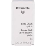 Dr. Hauschka - Lip to Cheek - Multifunctionele Stick - Apricot - 6,1gr