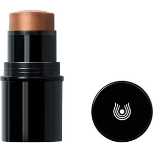 Dr. Hauschka Lip To Cheek 04 Gold 6,1 g