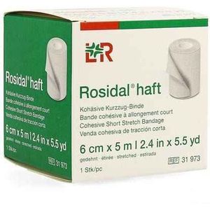 Rosidal Haft 6cmx5m 1 stuks