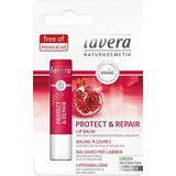 lavera Protect & Repair Lippenbalsem - met biologische granaatappel & biologische arganolie - natuurlijke en innovatieve lipverzorging - rijk & intensief - natuurlijke cosmetica - vegan - biologisch (6 x 1 stuks)