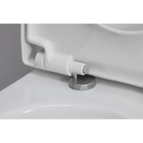 Duravit WC-zitting 37.2x48.8x5.1cm met Softclose met Quickrelease Polypropyleen Wit 0063390000