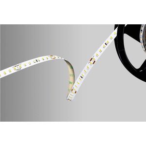 Barthelme 51542233 LED-strip 24 V 5000 mm Wit