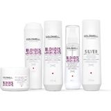 Goldwell Dualsenses Blondes & Highlights Anti Yellow Shampoo 1