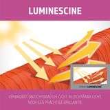 Goldwell Dualsenses Color Brilliance Shampoo 1