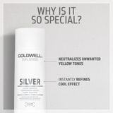 Goldwell Dualsenses Silver Shampoo 250ml
