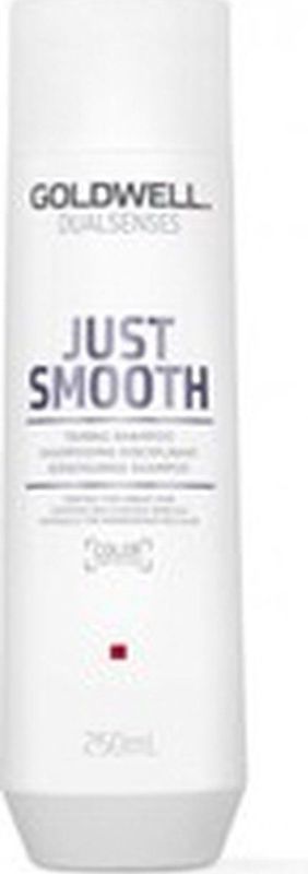 Goldwell Dualsenses Just Smooth Taming Shampoo 1