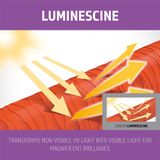 Goldwell Dualsenses Blondes Anti-Yellow Shampoo -250ml - Normale shampoo vrouwen - Voor Alle haartypes