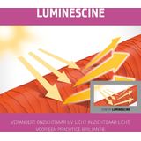 Goldwell - Dualsenses Color Lock - Haarserum - 12x18ml - Beschermt tegen kleurvervaging