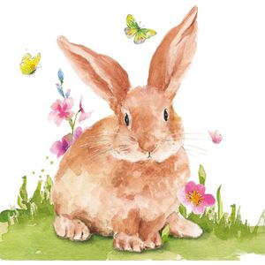 PPD - Lunch servetten - Mr. Rabbit