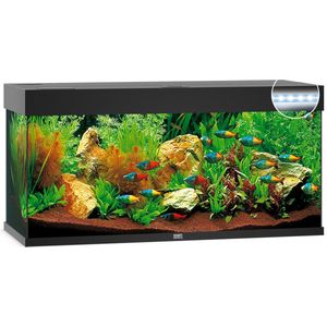 Juwel Aquarium Rio 240 Led 121x41x50 cm - Aquaria - Zwart Ca. 240 L