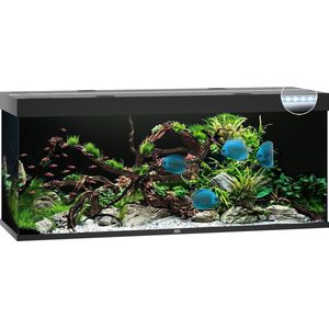 Juwel Rio 450 LED | 450L | 151 x 51 x 66CM Zwart