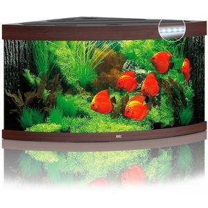 Juwel Aquarium Trigon 350 Led 123x87x65 cm - Aquaria - Donker Hout