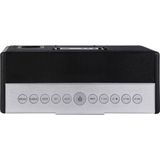 Telestar - DIRA S 20 - Draagbare Digitaal - Zwart - Bluetooth, USB, WiFi