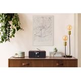 Telestar - Dira S24i - Radio - Zwart - DAB+, Internet, Bluetooth, WiFi, 2,4" TFT-kleurenscherm