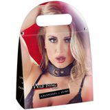 Halsfessel plus Leine aus Leder mit Gold-Details
